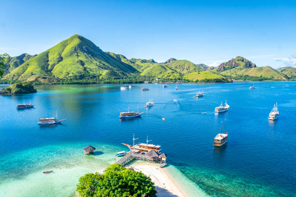 Nusa Tenggara Timur Safarfriendly
