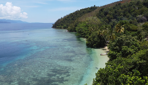 Papua Safarfriendly