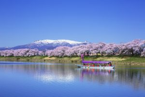 liburan ke Tohoku safarfriendly