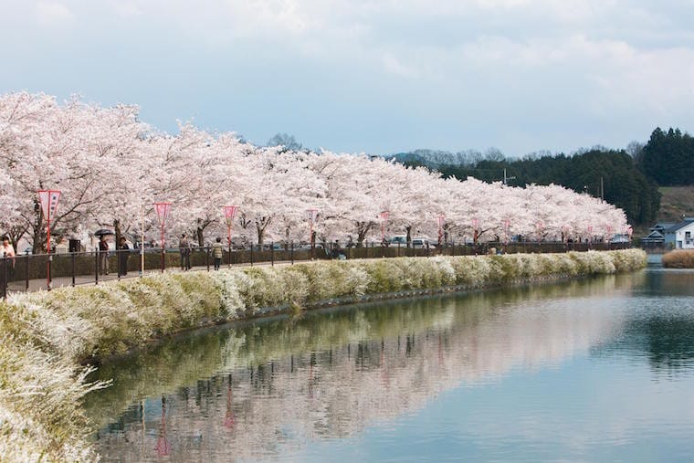 Chugoku Travel Guide safarfriendly