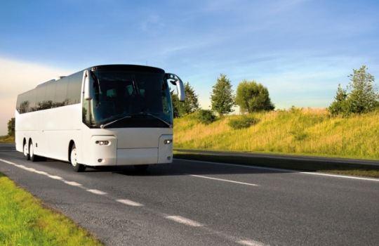 Meharbus.com safarfriendly