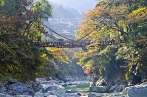 menjelajahi Shikoku safarfriendly
