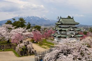 Eksplorasi Tohoku Safarfriendly